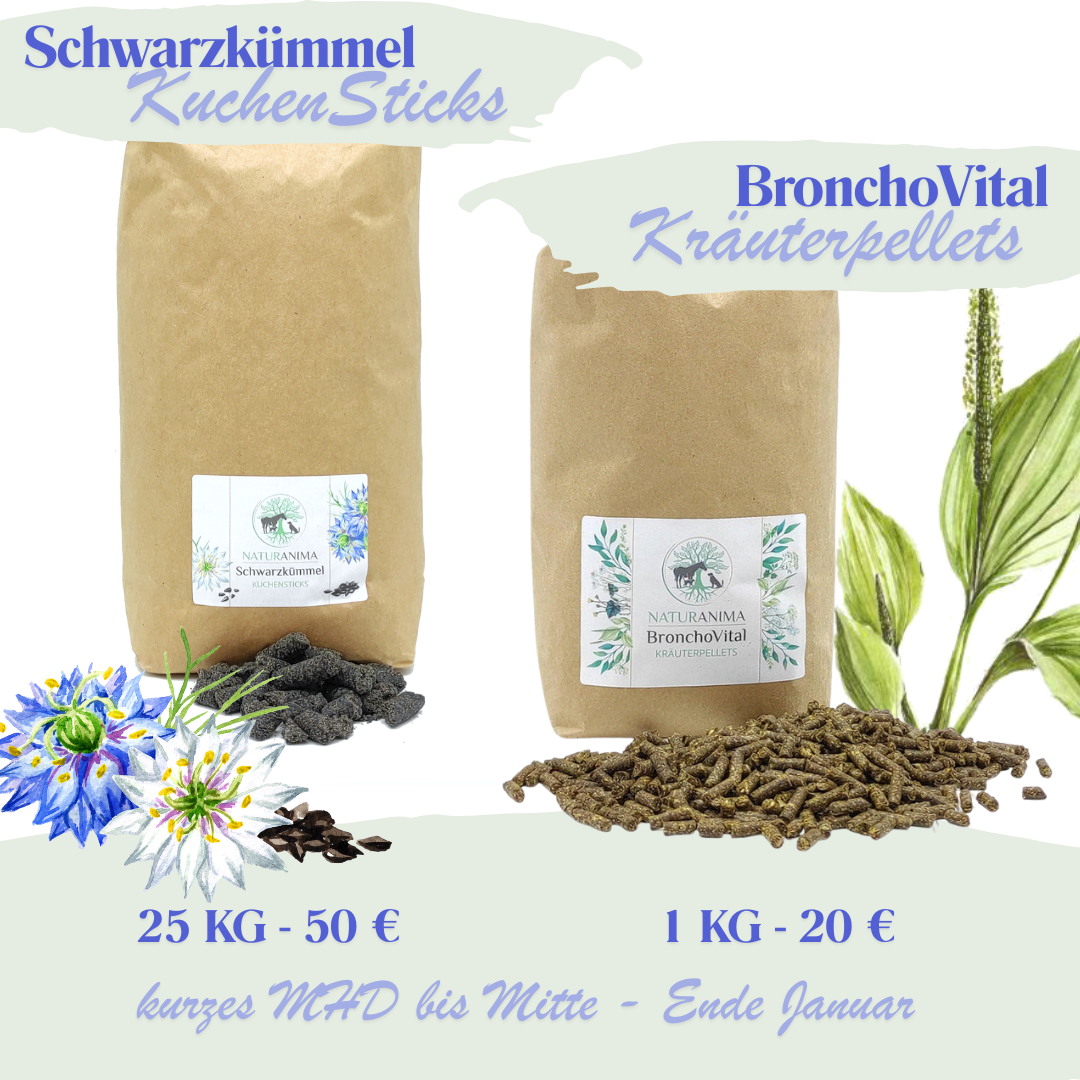 KuchenSticks Schwarzkümmel