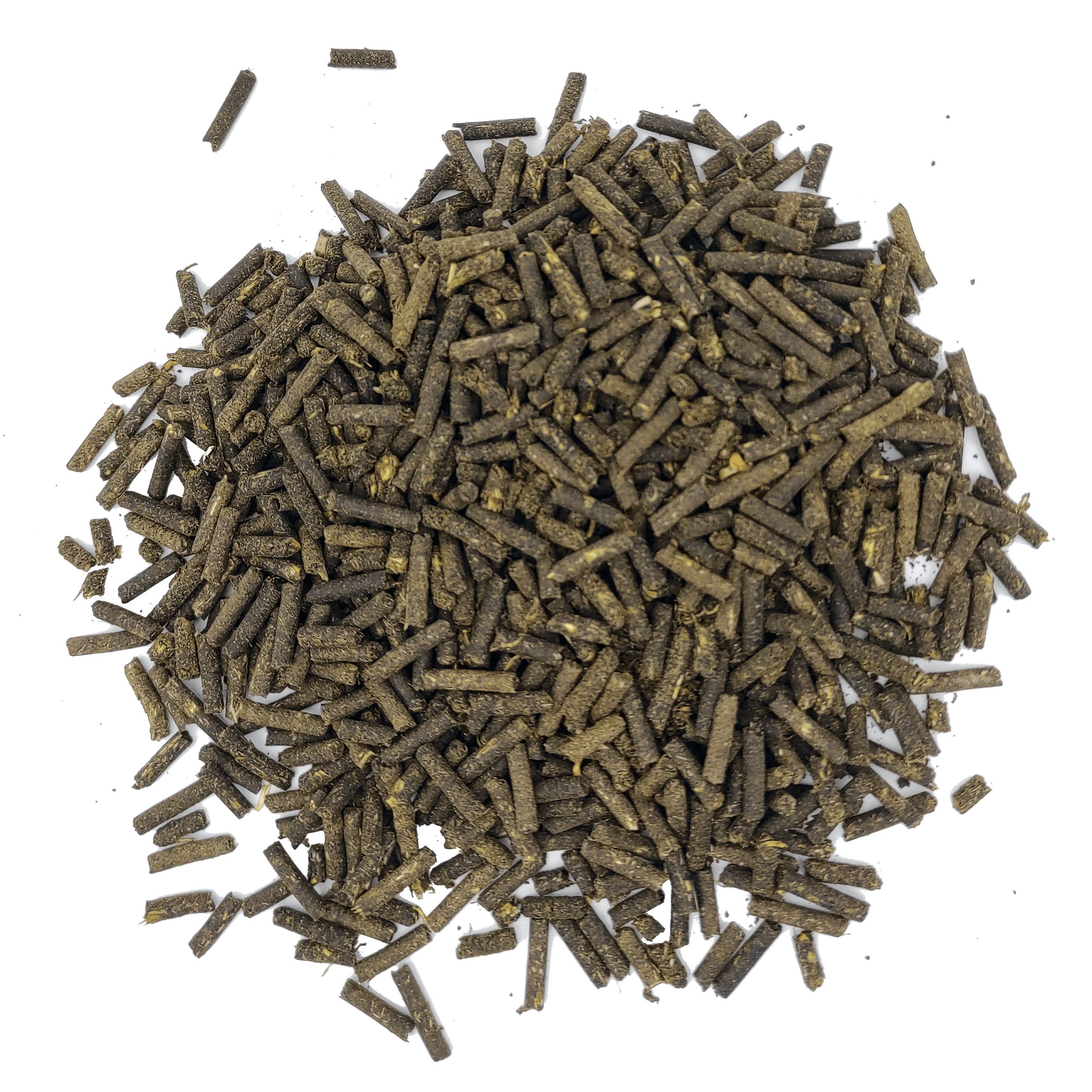 DarmFlora Kräuterpellets