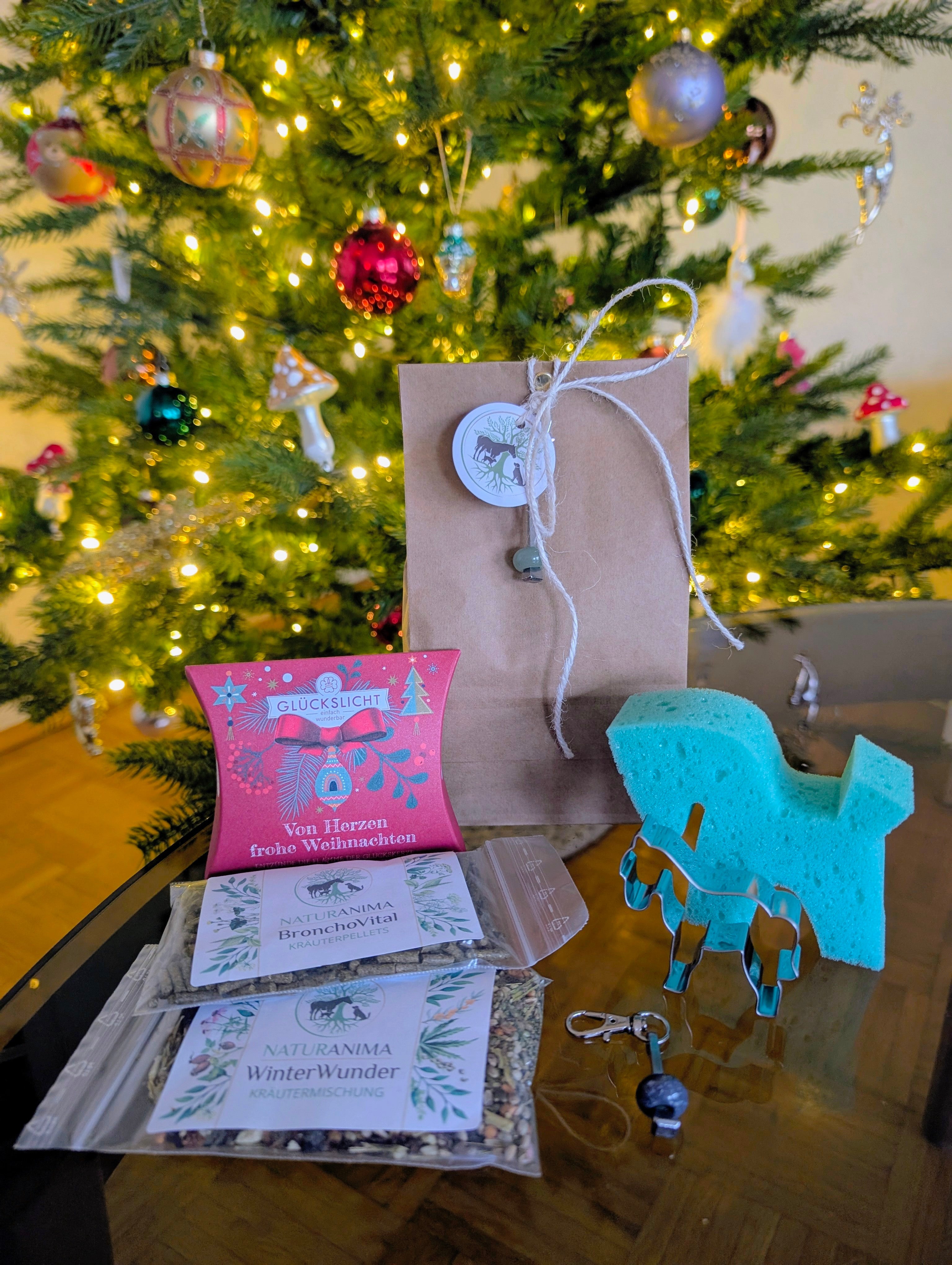 Weihnachtliche GoodieBag