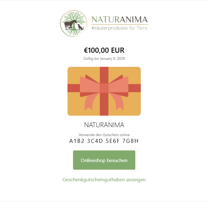 Geschenkgutschein "der Schnelle" per Mail